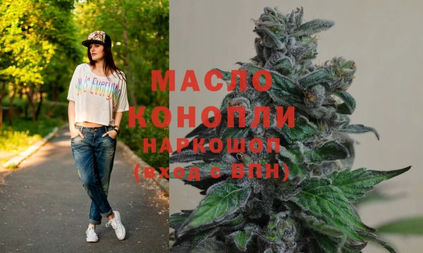 дмт Лабытнанги