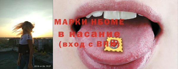 дмт Лабытнанги