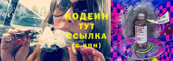 дмт Лабытнанги