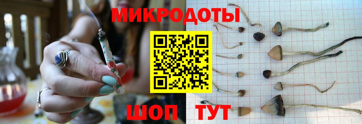 Галлюциногенные грибы GOLDEN TEACHER Нововоронеж