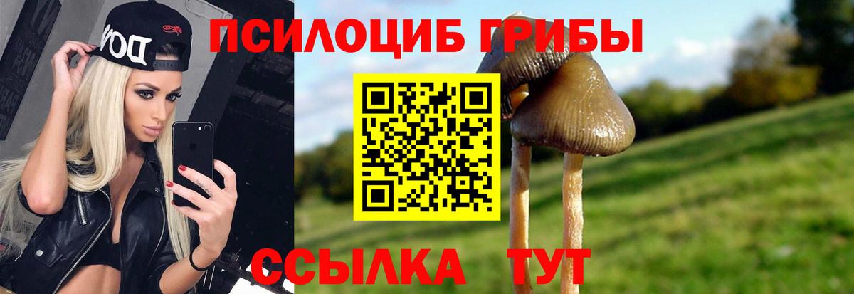 Галлюциногенные грибы мицелий Нововоронеж