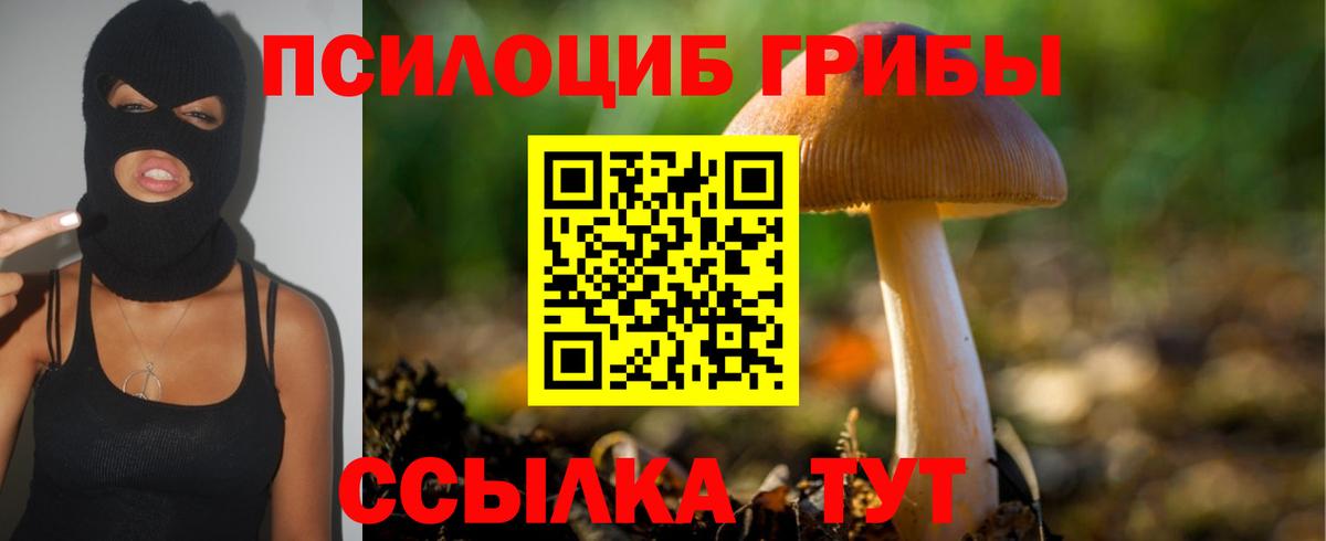 Галлюциногенные грибы Magic Shrooms  Нововоронеж 