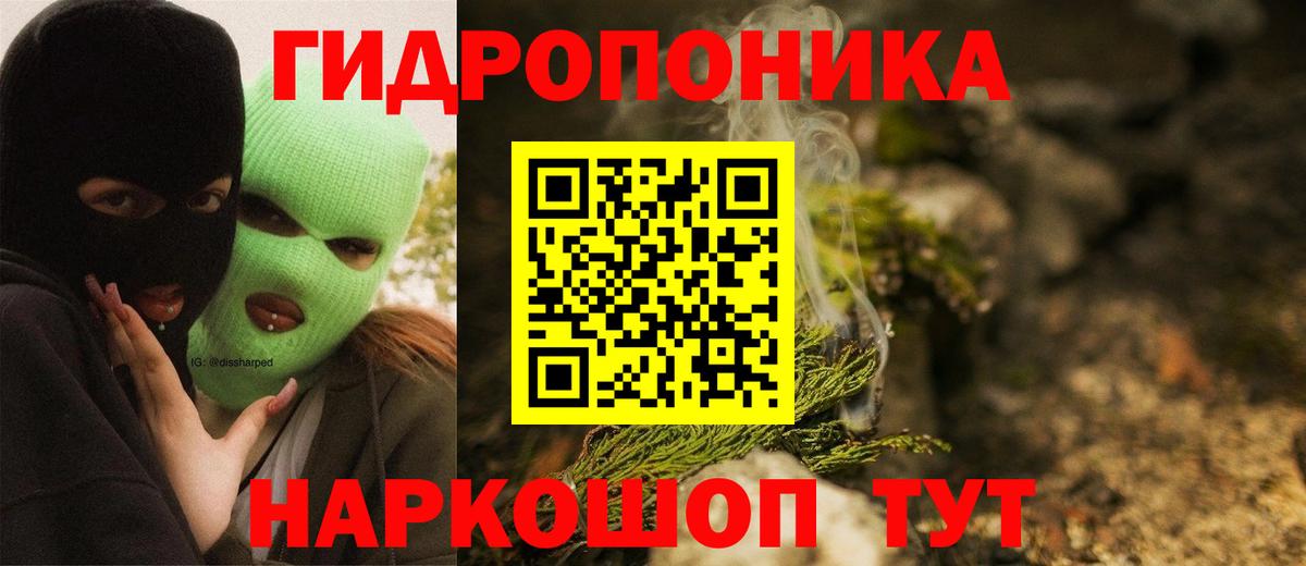 Галлюциногенные грибы Нововоронеж